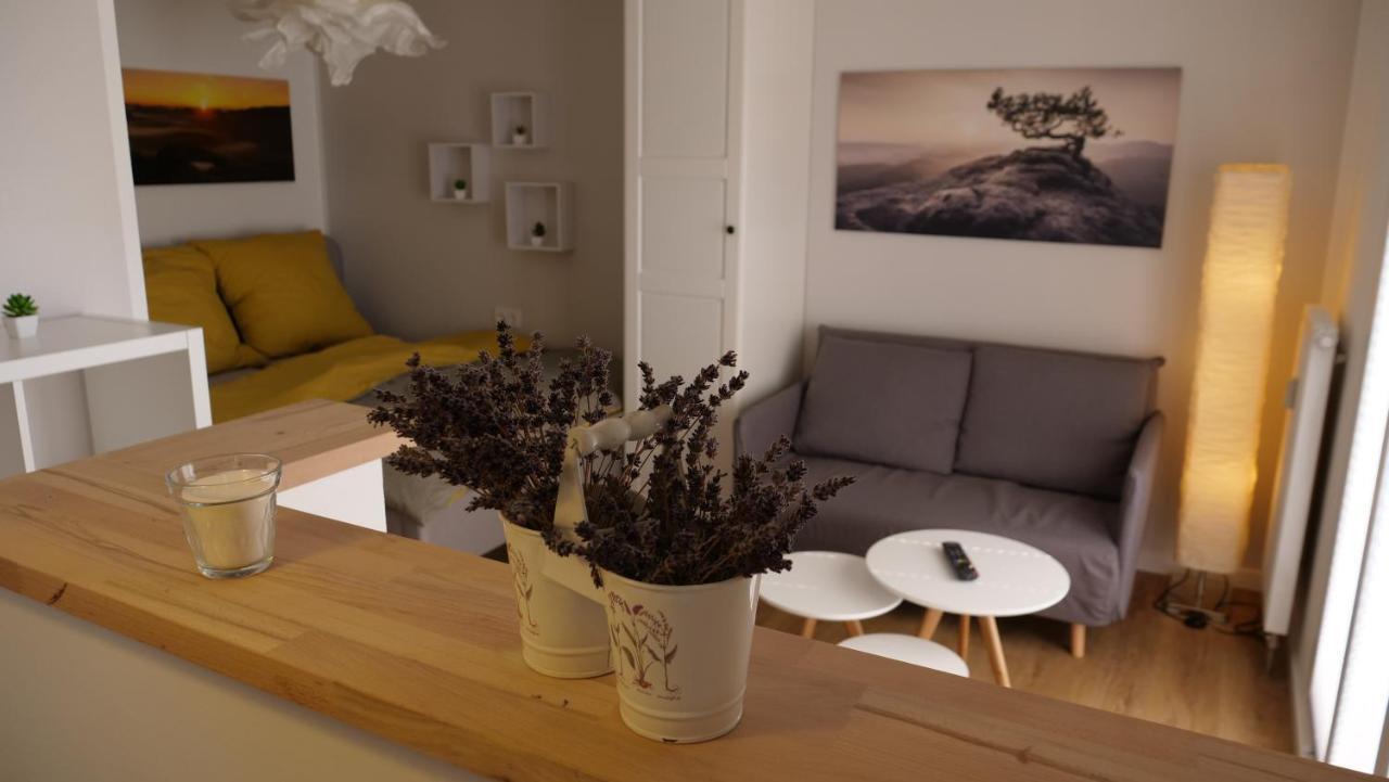 Ferienwohnung Gottleubapark Apartment Pirna Kültér fotó