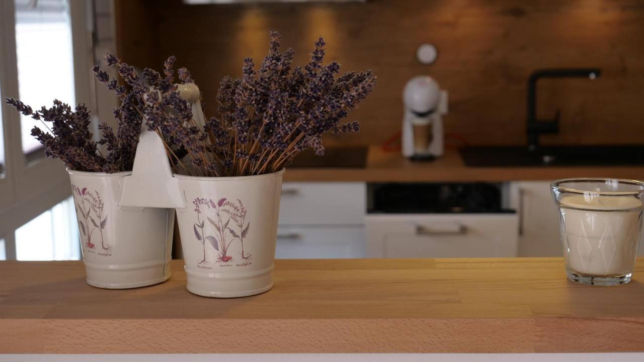 Ferienwohnung Gottleubapark Apartment Pirna Kültér fotó